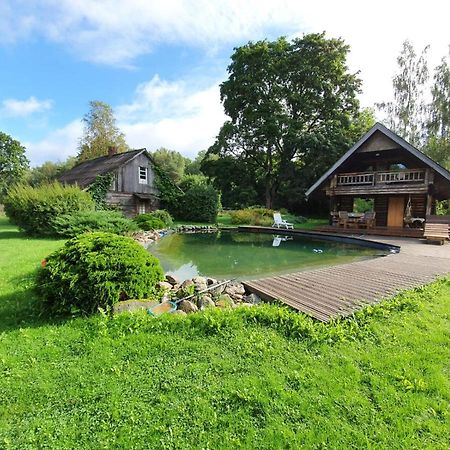 Jaunzemji Villa Dzeņi Екстериор снимка