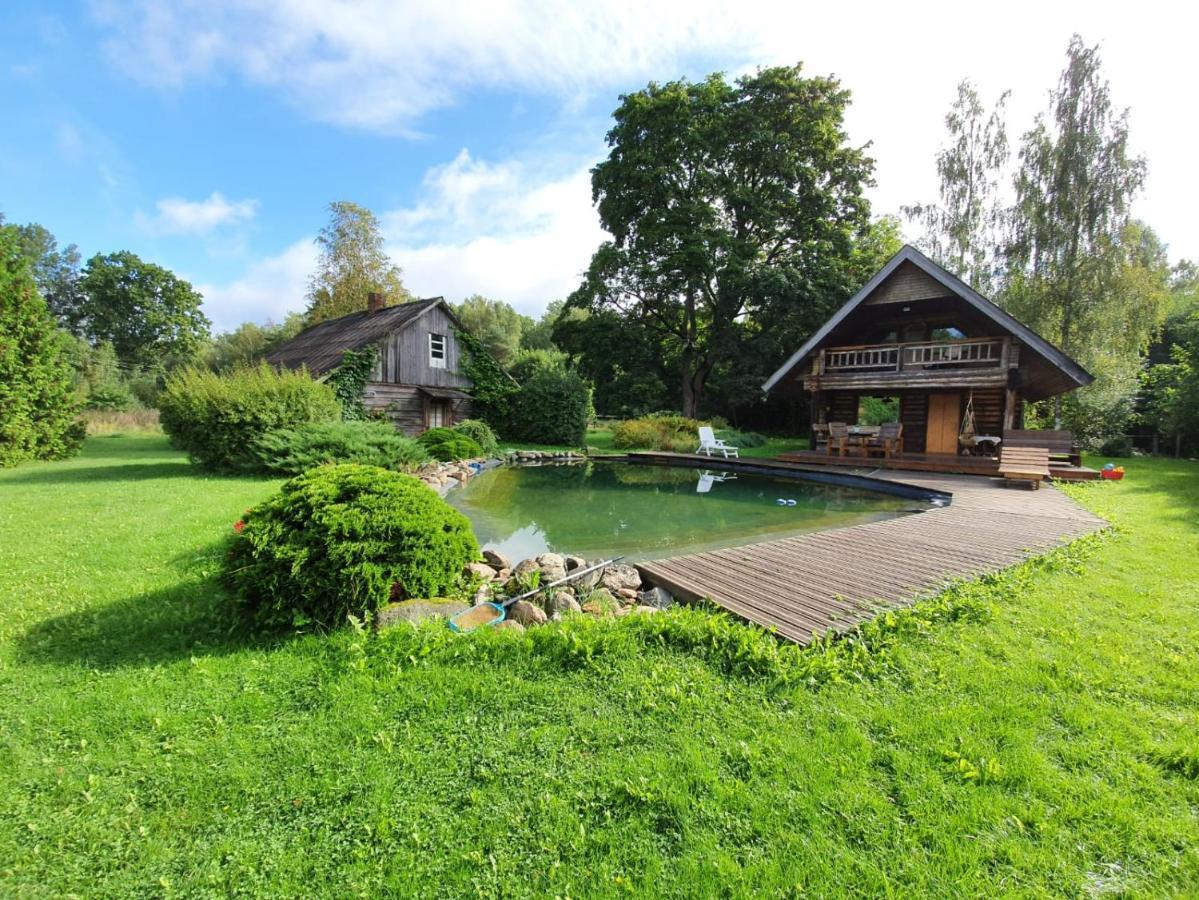 Jaunzemji Villa Dzeņi Екстериор снимка
