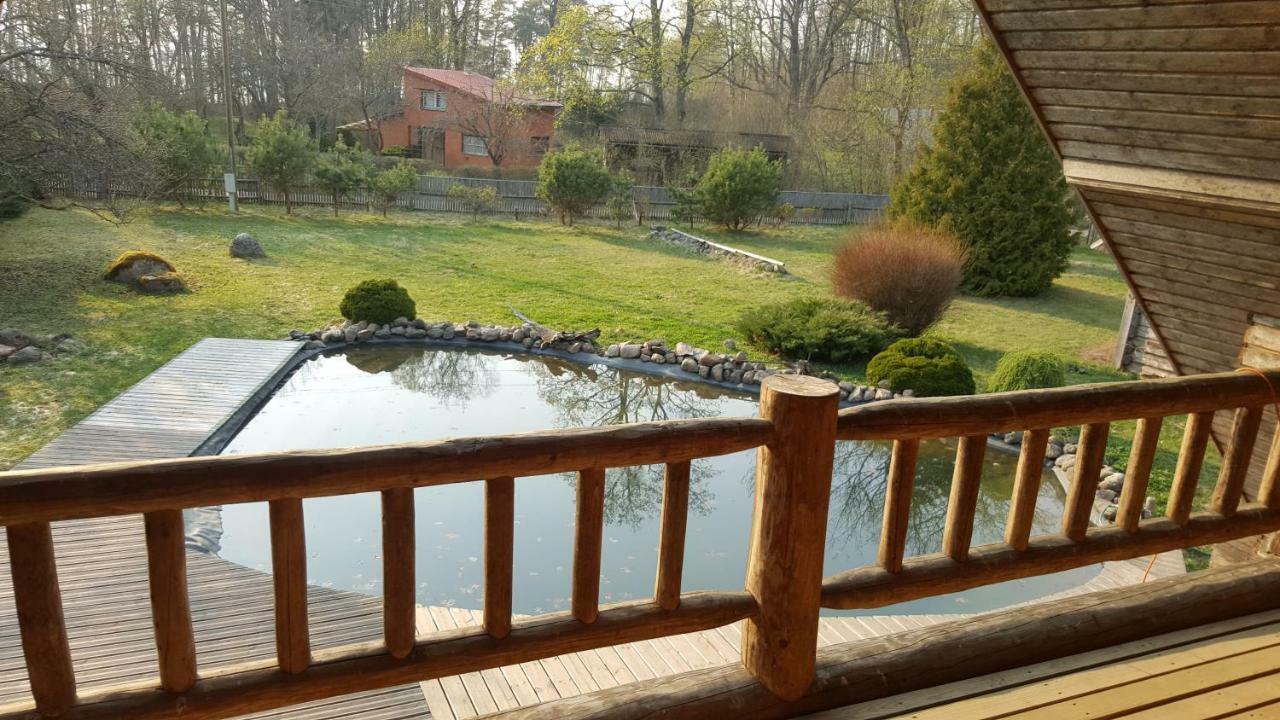Jaunzemji Villa Dzeņi Екстериор снимка