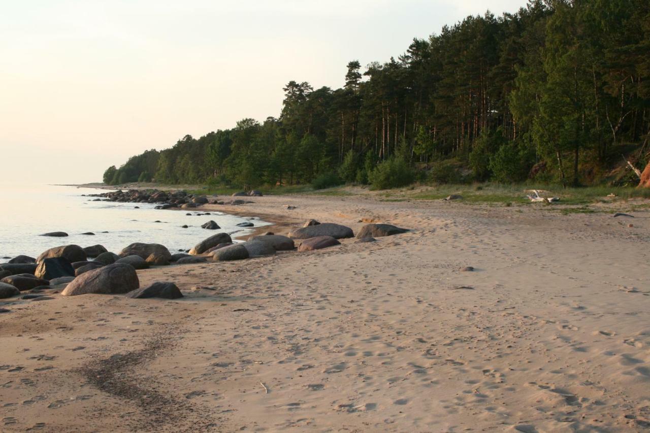 Jaunzemji Villa Dzeņi Екстериор снимка