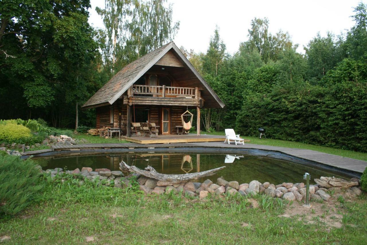 Jaunzemji Villa Dzeņi Екстериор снимка