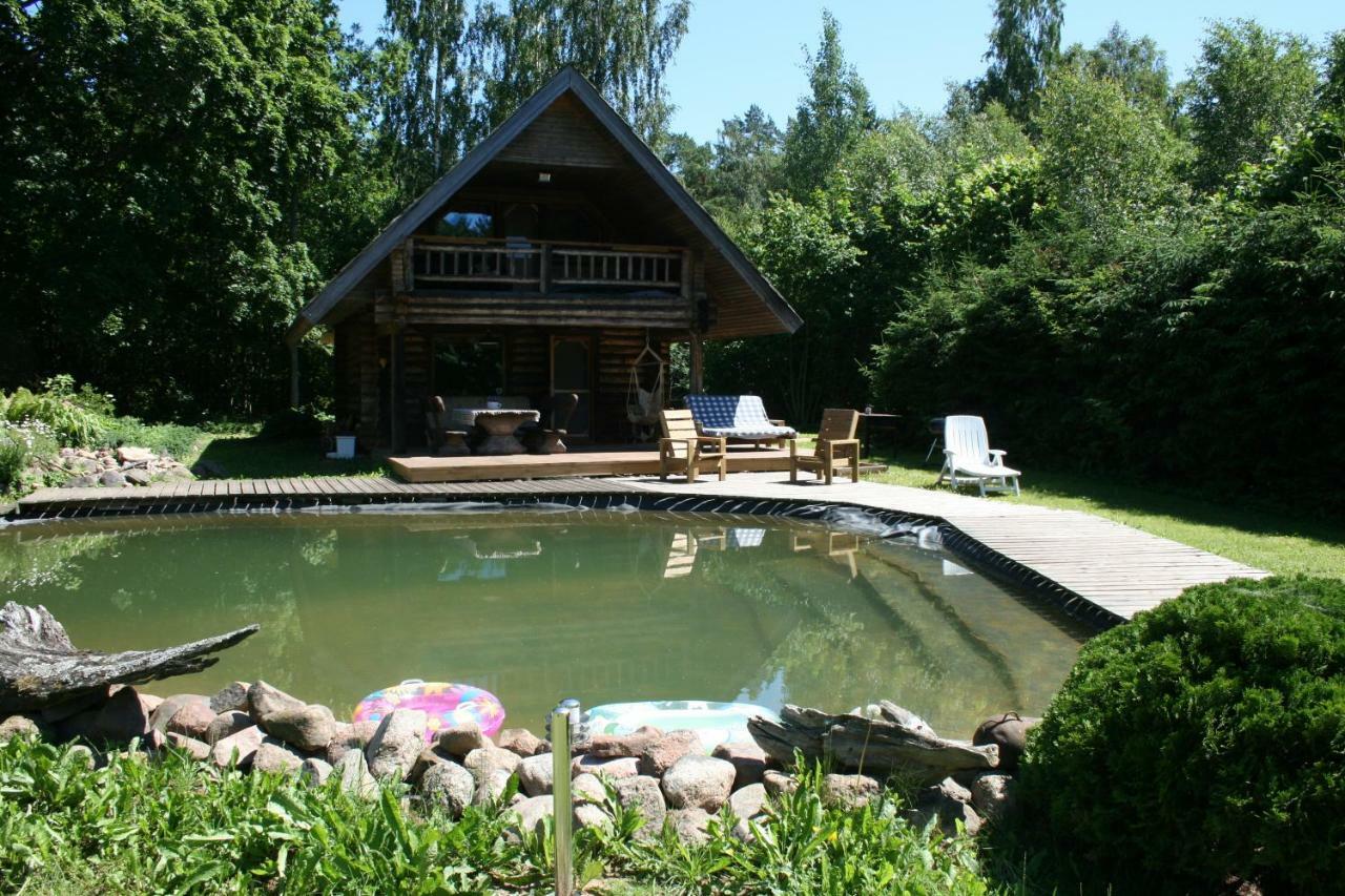 Jaunzemji Villa Dzeņi Екстериор снимка